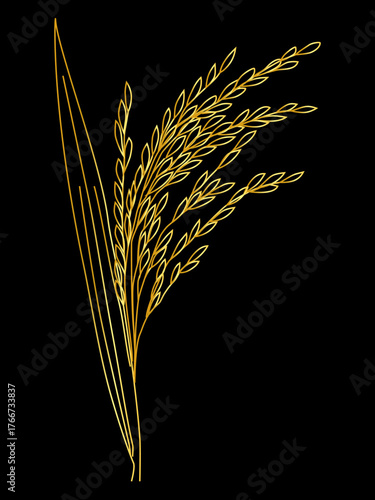 Golden lines of  rice ear vector on black background,Vector illustration and outline of agricultural plant. Healthy food icon