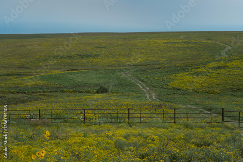 The pristine grasslands of eastern Kansas