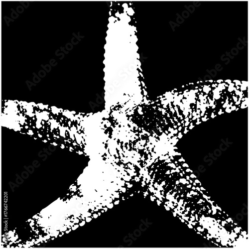 Starfish Illustrates Texture in Marine Biology