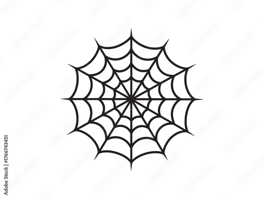 Obraz premium Clean Spiderweb Line Art Vector Design