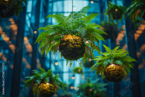 Hanging Fern Kokedama with Modern Pendant Lighting Indoors. Spherical kokedama fern planters suspended in a stylish interior space, complemented by warm globe pendant lights