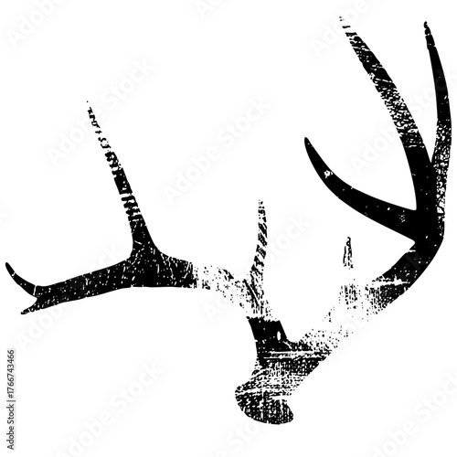 Deer antlers display textured detail in a wildlife scene