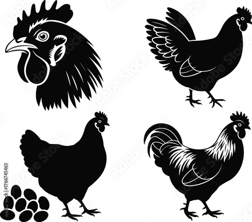 Chicken head sketch, rooster silhouette, hen with eggs, poultry farm animal drawing, black and white vector set for agriculture, education