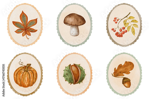 Watercolor autumn illustration set with fall leaves, pumpkin, mushroom, acorn and berries — cozy seasonal collection in ellipse frames