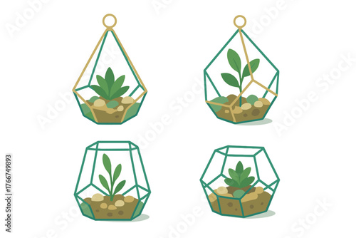 Four geometric glass terrariums with small green plants inside