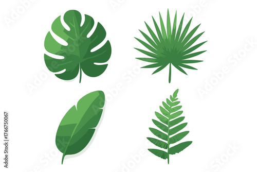 Four distinct tropical plant leaves including monstera and palm