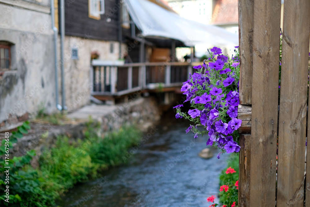 Fototapeta premium Vibrant purple flowers hang from wooden railing beside a serene stream, with rustic buildings and lush greenery creating a picturesque outdoor scene