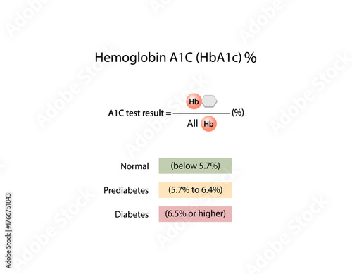 Hemoglobin A1C, HbA1c test , HbA1c levels, Glucose sticks to hemoglobin, glycated hemoglobin, up to 120 days. A1C Blood Sugar Test, Diabetes Mellitus, Infographic, Vector illustration.	