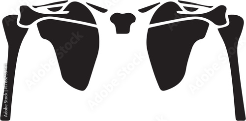 Anatomy glyph icon set. Vector pictograms of body organs, bone, skeleton, spine, eye, ear, nose, mouth, lips, hand, foot, stomach, kidneys, bladder, black sign silhouette illustration.