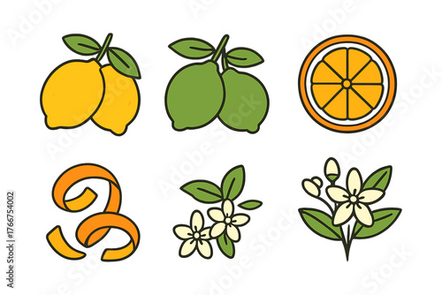 Collection of stylized icons featuring lemon, lime, orange slice, peel, and blossoms
