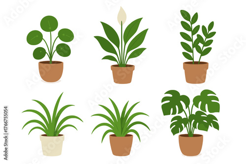Set of popular indoor houseplants in terracotta pots including Monstera and Peace Lily