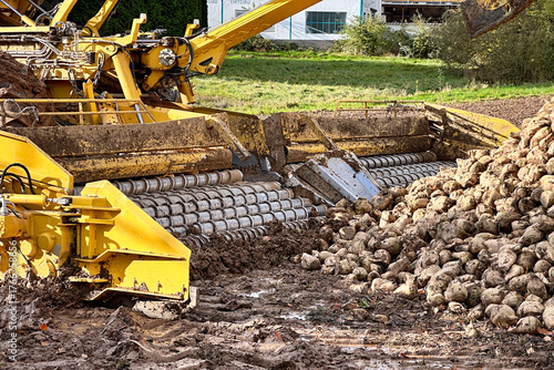 Zuckerrüben verladen