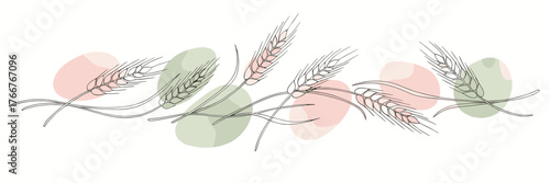 Wheat ears one-line doodle drawing with watercolor fill, minimalistic vector illustration on white background