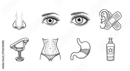 Hand-drawn medical anatomy: eyes, nose, ears, and more