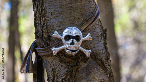 Macro - Halloween Skull in the Forest