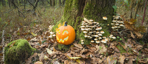 Anamorphic Lens - Halloween in the woods