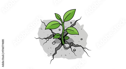 Small green plant with leaves growing through crack in concrete, symbolizing resilience and hope