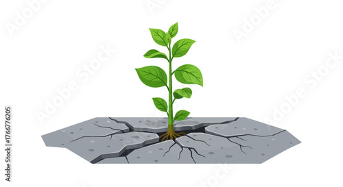 Small green plant growing through cracked concrete surface, representing resilience and new life
