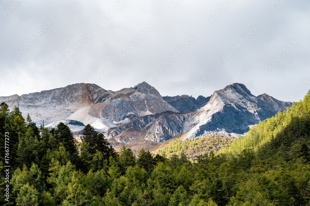 Obraz premium The rocky mountains and forest vegetation scenery of the Qinghai-Tibet Plateau region