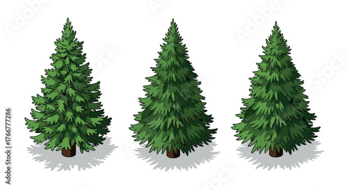 Isometric evergreen trees in three styles on white background