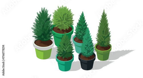 Isometric evergreen trees in colorful pots
