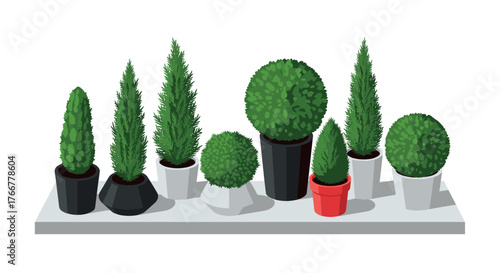 Collection of potted evergreen topiary plants on display shelf