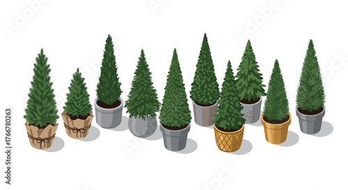Isometric potted evergreen trees collection for landscape design