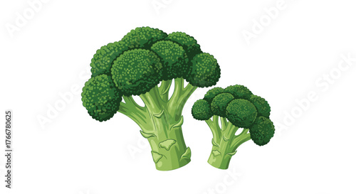 Two fresh green broccoli florets, one larger and one smaller, standing upright against a clean white background, representing healthy eating and organic vegetables.
