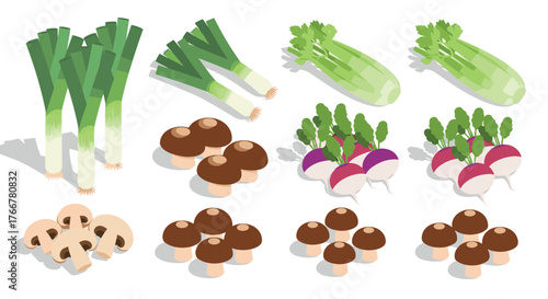 Isometric vegetables: leeks, celery, mushrooms, and radishes in flat design