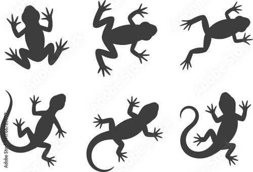 Vector illustration of lizard and frog silhouettes for graphic design needs