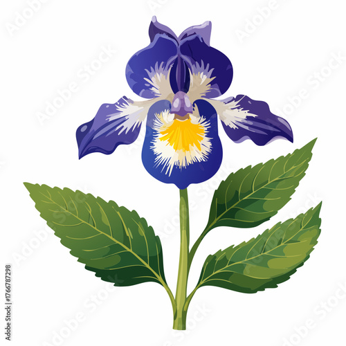 Purple pansy flower with green leaves with transparent background