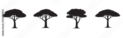Simple black silhouette of an acacia tree with transparent background. Beech tree silhouette for forest vector art. silhouette tree simple style, vector illustration.
