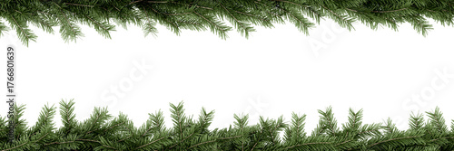 Christmas tree branches frame isolated on white