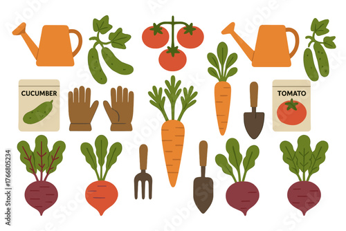 Assortment of fresh organic vegetables and essential gardening tools for planting and harvest