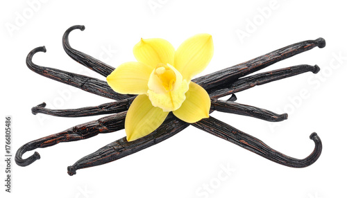 Yellow bloom atop vanilla pods, black backdrop. Cross-laid & textured, evokes a natural, aromatic essence