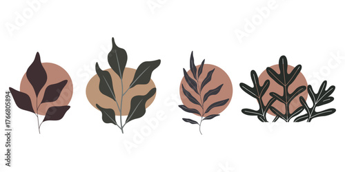 Botanical illustrations with earthy tones and minimalist aesthetic for design projects