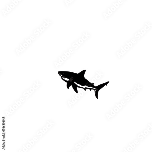 Shark Icon