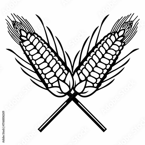 Line art illustration of a sheaf of wheat and two ears of corn, crossed neatly, white background