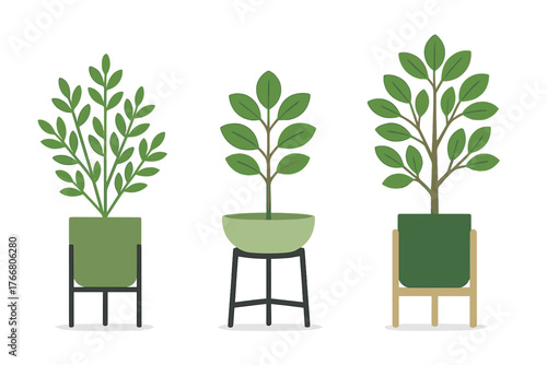 Three modern potted houseplants displayed on stylish stands against a white background