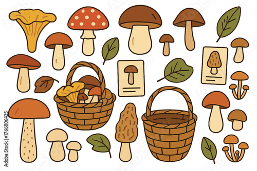 Forest mushrooms collection featuring chanterelles, fly agaric, and boletus with wicker baskets and autumn leaves