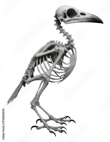 bird skeleton isolated retro halftone vintage dots texture cut-out collage element for mixed media design