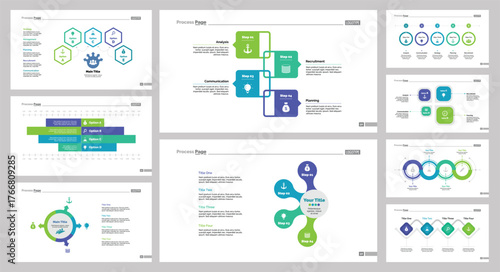 Nine Management Slide Templates Set