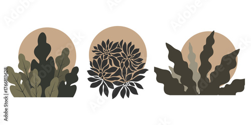 Minimalist Plants and Flowers with Geometric Shapes Bohemian Style Design Vector