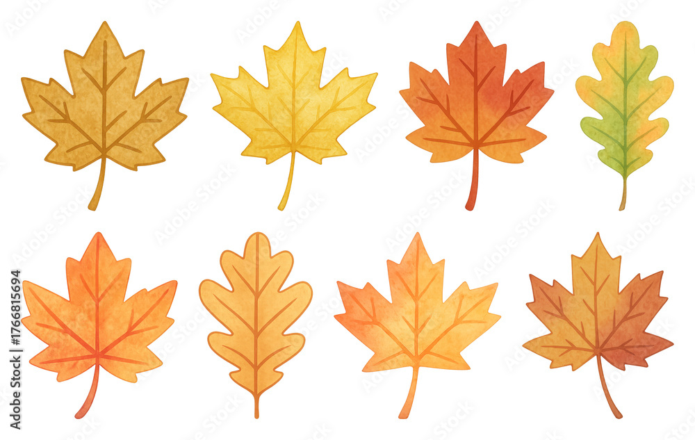 Fototapeta premium PNG Colorful autumn leaves illustration, element set on transparent background
