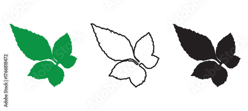 Green Compound Leaf Silhouette Outline and Black Fill