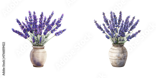 lavender in vase watercolor vector illustration