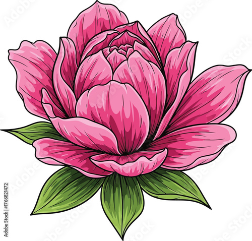 lotus flower vector illustration