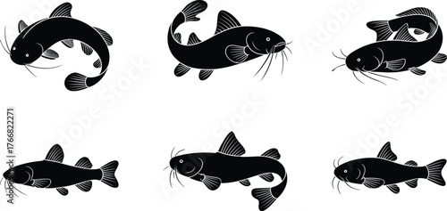 Set of Six Black Catfish Silhouettes in Various Swimming Poses for Aquatic Animal, Fishing, Nature, Wildlife, and Vector Design Use