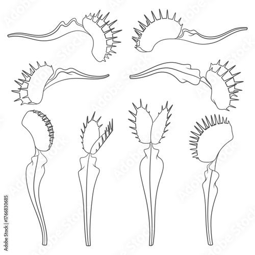 Set of black and white illustrations of venus flytrap. Isolated vector objects on white background.