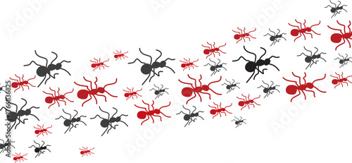 Black and red ant pattern illustration showing insects walking in diagonal formation on white background. Perfect for nature, wildlife, entomology, or pest control themed designs.